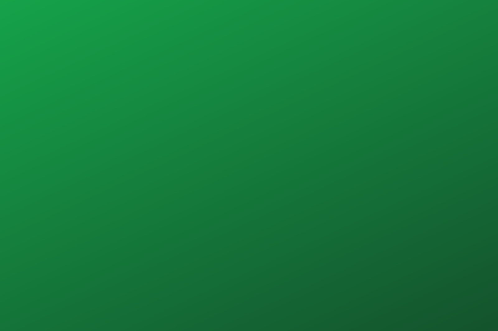 Green Bowl — веганское кафе у Ката
